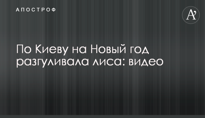 Києвом на Новий рік розгулювала лисиця: відео