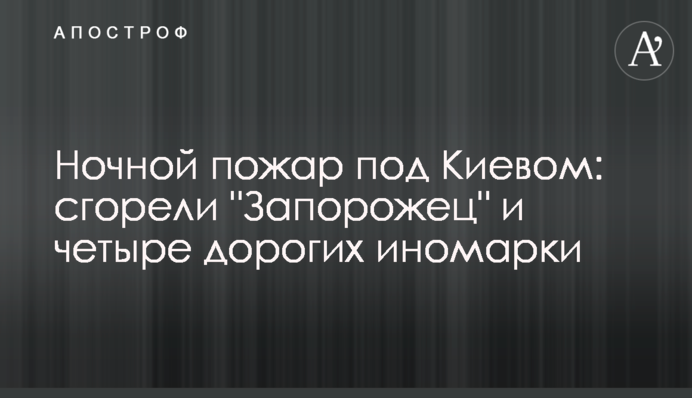 Нічна пожежа під Київом: згоріли 