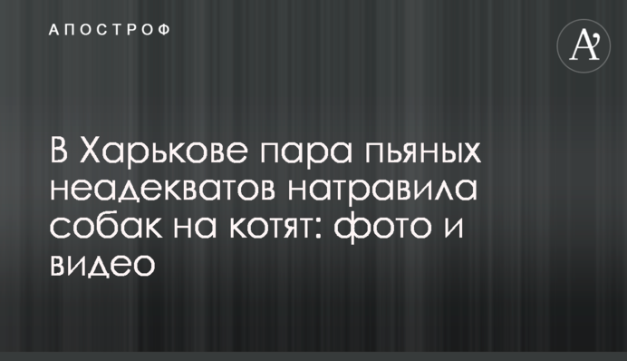 У Харкові пара п'яних неадекватів нацькувала собак на кошенят: фото та відео