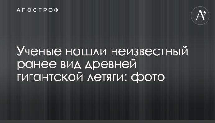 Вчені знайшли невідомий раніше вид стародавньої гігантської летяги: фото