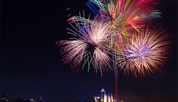 Метался от страха и рухнул замертво: в киевском приюте для животных произошла трагедия