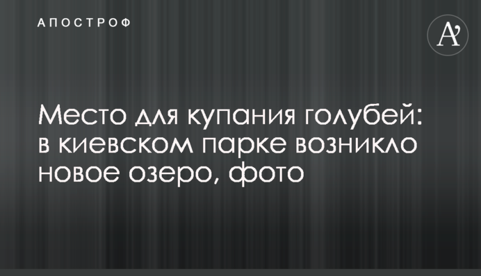 Місце для купання голубів: у київському парку виникло нове 