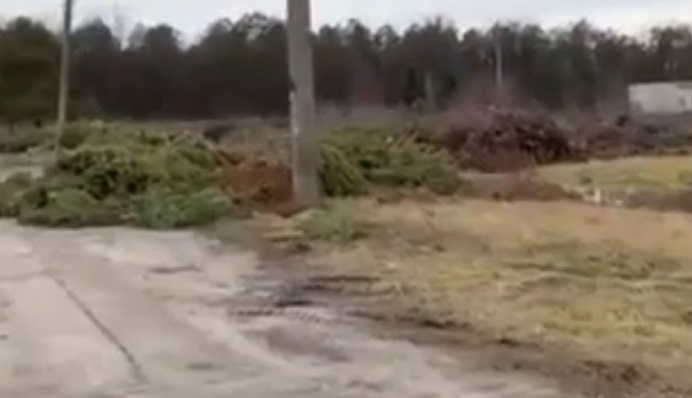 В Киеве нашли 