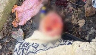 У Дніпрі знайшли тіло жінки – її вже встигли обголодати собаки: фото