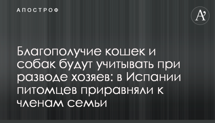 Благополучие кошек и собак будут учитывать при разводе хозяев: в Испании питомцев приравняли к членам семьи