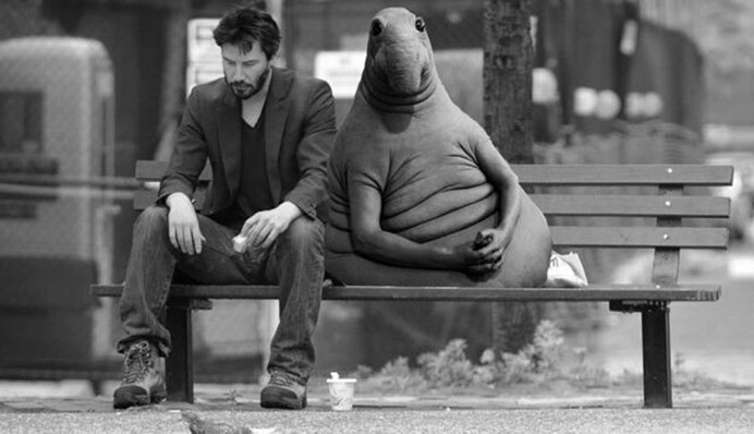 Веселощі будуть потім: психолог пояснила, чому багато хто не змінює своє життя на краще