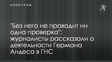 "Без него не проходит ни одна проверка": журналисты рассказали о деятельности Германа Андеса в ГНС