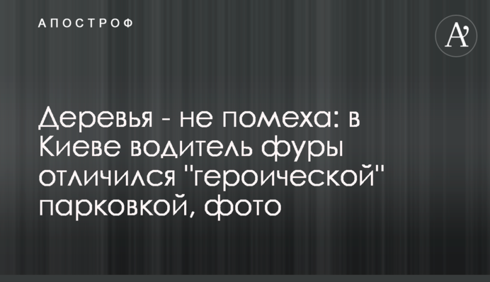 Дерева - не завада: у Києві водій фури відзначився 