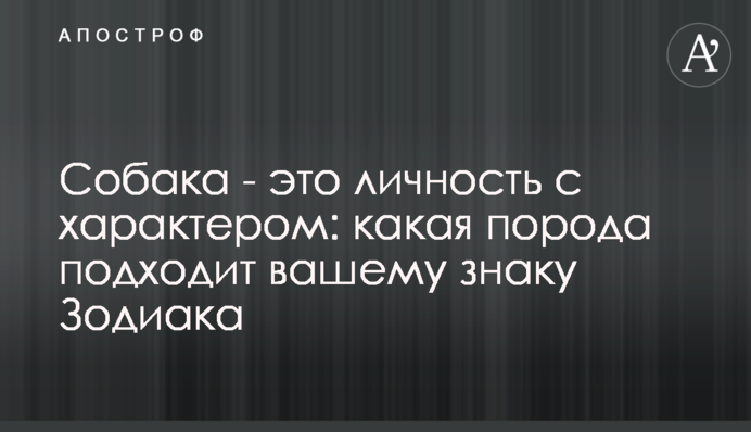 Собака - це особистість із характером: яка порода підходить вашому знаку Зодіаку