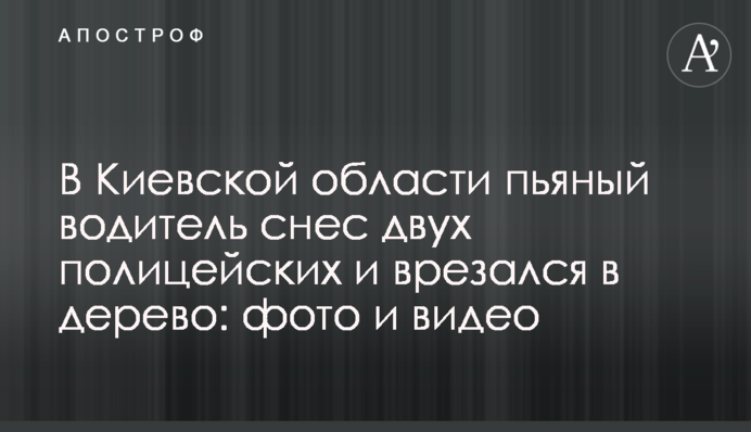 В Киевской области пьяный водитель снес двух полицейских и врезался в дерево: фото и видео