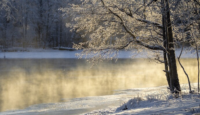 На зміну морозам йде мокрий сніг та поривчастий вітер: синоптики уточнили погоду на Старий Новий рік