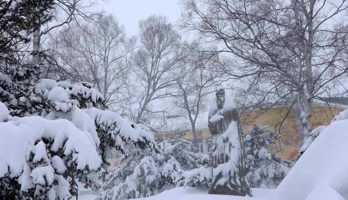 ​​На Сахаліні лютує циклон: за ніч снігу намело з людський зріст, у будинках нема світла