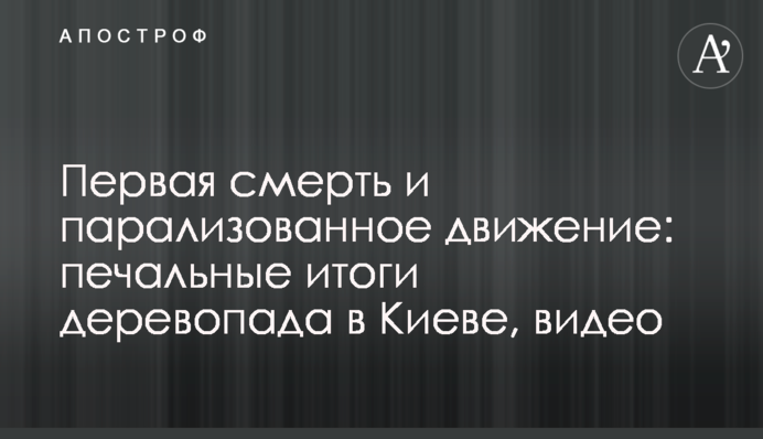 Первая смерть и парализованное движение: печальные итоги деревопада в Киеве, видео