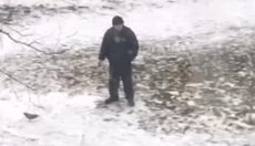 В Киеве заметили мужчину с голубем на поводке: странное видео