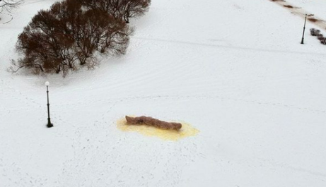 У Росії художник створив інсталяцію у вигляді 5-метрової фекалії: фото