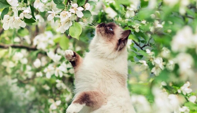 Морозы продержатся до апреля: украинцам дали прогноз на весну