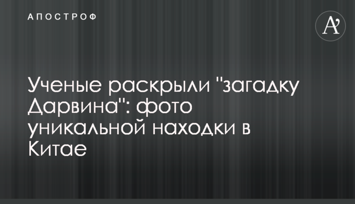 Вчені розкрили 