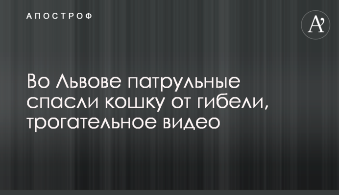 У Львові патрульні врятували кішку від загибелі, зворушливе відео.