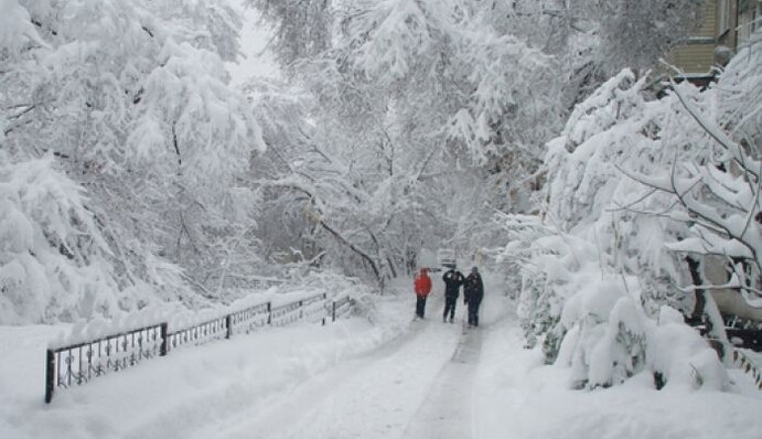Україну занесе шаром снігу до 131 см: мапа погоди на найближчі дні