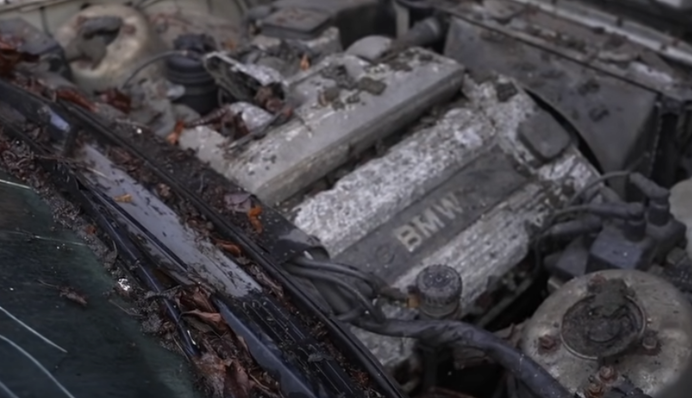 У Британії в саду знайшли 