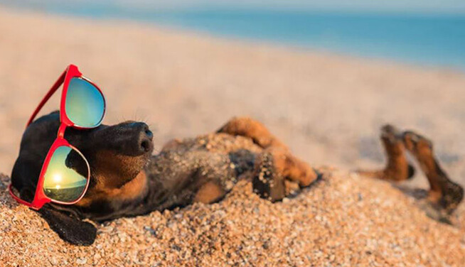 2022 рік готує українцям фантастичне літо: чого чекати від погоди