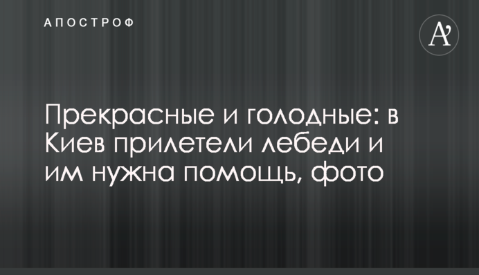 В США рассказали, что будут считать вторжением России в Украину