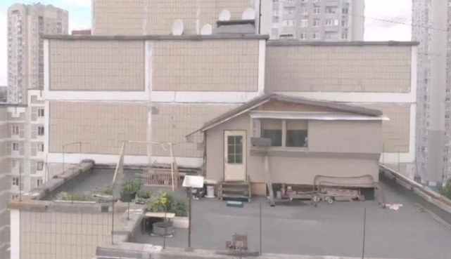 Дача на крыше многоэтажного дома: в Киеве нашли необычную постройку с огородом, фото