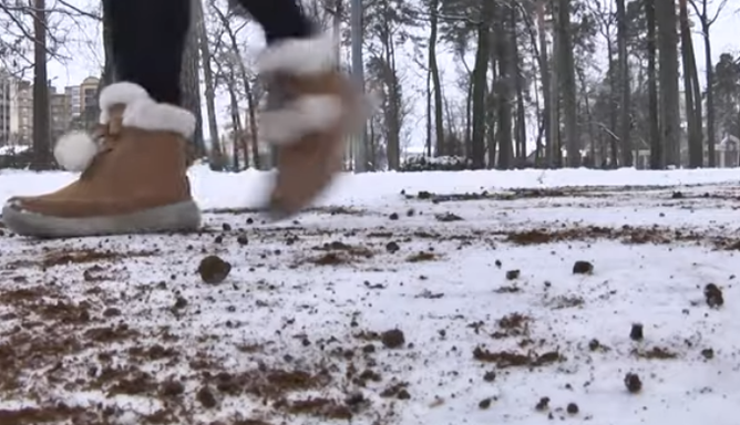 Вместо песка и соли: под Киевом необычным способом борются с гололедом, видео