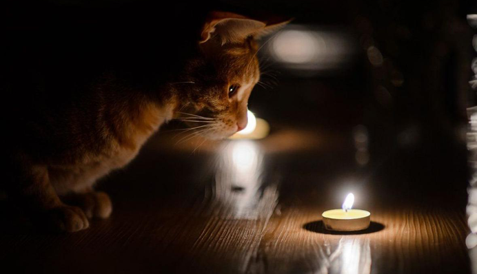 Десятки районов в Киевской области останутся без света 28 января: список адресов