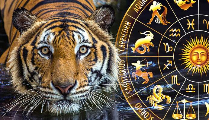 Пожнут плоды прежних усилий и избавятся от долгов: три 