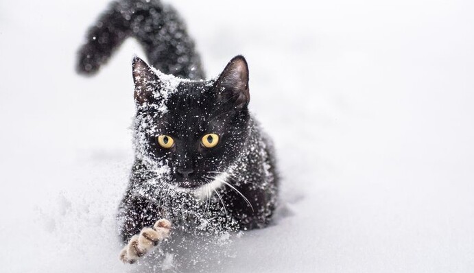 Мокрий сніг та сіре небо: синоптики розповіли про неприємну погоду на вихідні