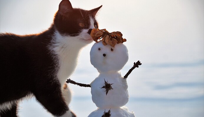 Дожди, гололед и похолодание: синоптик уточнила прогноз погоды в Украине в начале февраля