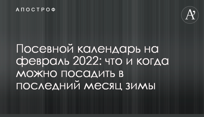 Посівний календар на лютий 2022 року: що і коли можна посадити в останній місяць зими