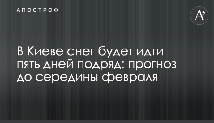 У Києві сніг йтиме п'ять днів поспіль: прогноз до середини лютого