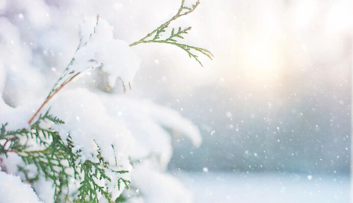 Снег, дождь и мороз до -13: синоптик "порадовала" украинцев свежим прогнозом