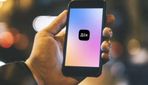 Розмитнення у смартфоні: коли послуга буде доступна в 