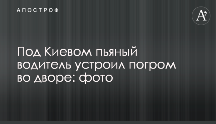Под Киевом пьяный водитель устроил погром во дворе: фото