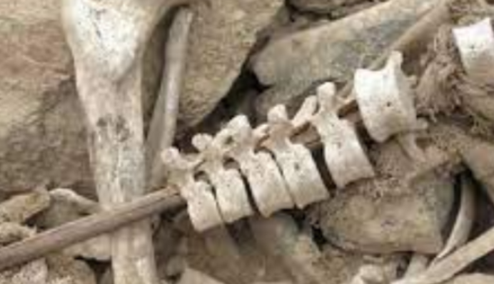 Находка, покрытая тайной: в Перу археологи обнаружили сотни человеческих позвоночников, фото