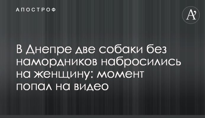 У Дніпрі два собаки без намордників накинулися на жінку: момент потрапив на відео