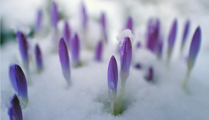 Весна придет по расписанию? Синоптик рассказал, какой будет погода в феврале