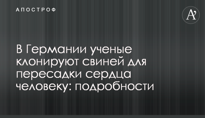 В Германии ученые клонируют свиней для пересадки сердца человеку: подробности