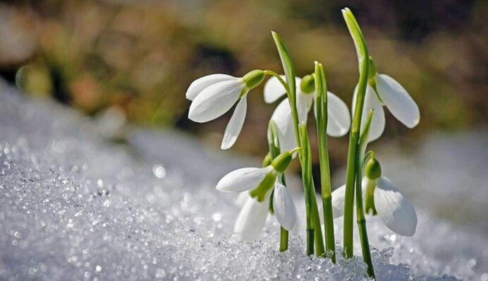 Весна постепенно начнет вступать в свои права: синоптик назвала дату окончания зимы