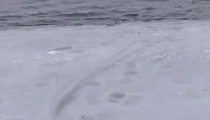 Під Херсоном діти провалилися під кригу: історія неймовірного порятунку