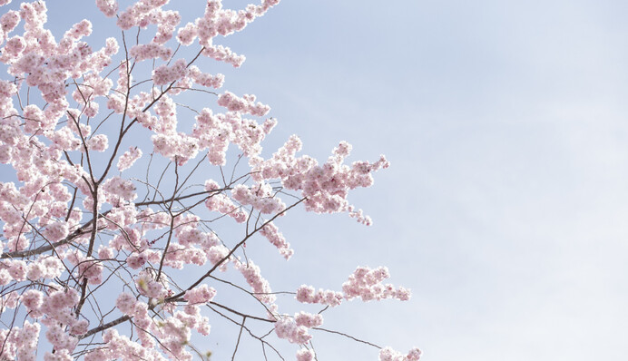 В Украине весной ударят морозы и дикая жара: климатолог дала прогноз по месяцам