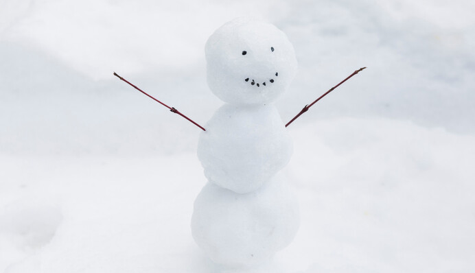 В Украине на выходных ожидаются снегопады: где завалит снегом