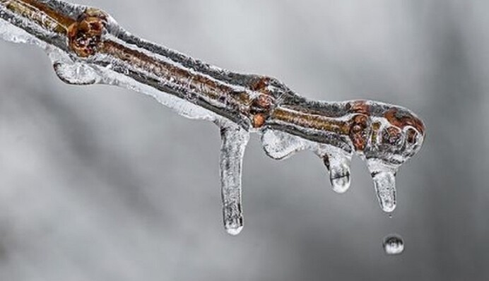 Погода в Україні: потепління на тлі дощів зі снігом