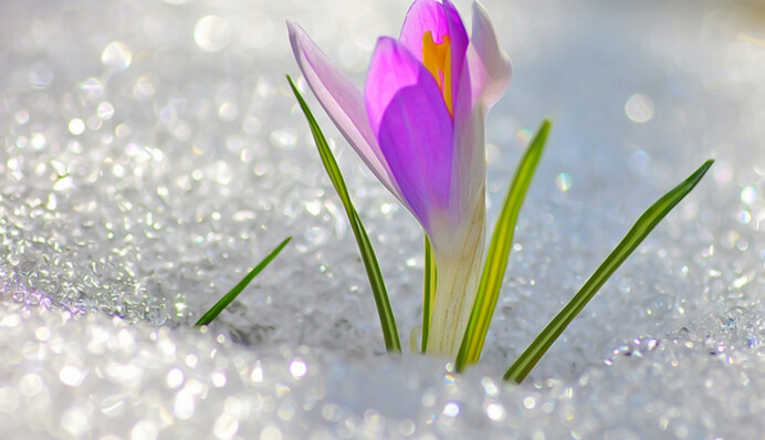 Весна уже витает в воздухе: украинцам дали прогноз на 8 февраля