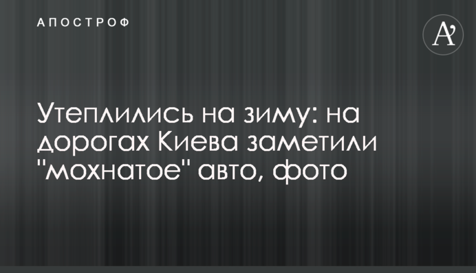 Утеплились на зиму: на дорогах Киева заметили 