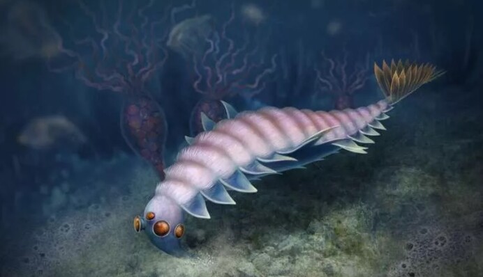 Науковці відкрили таємницю багатоокого 