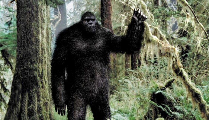 Американець зняв у лісі 